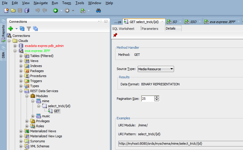 oracle rest data services modules